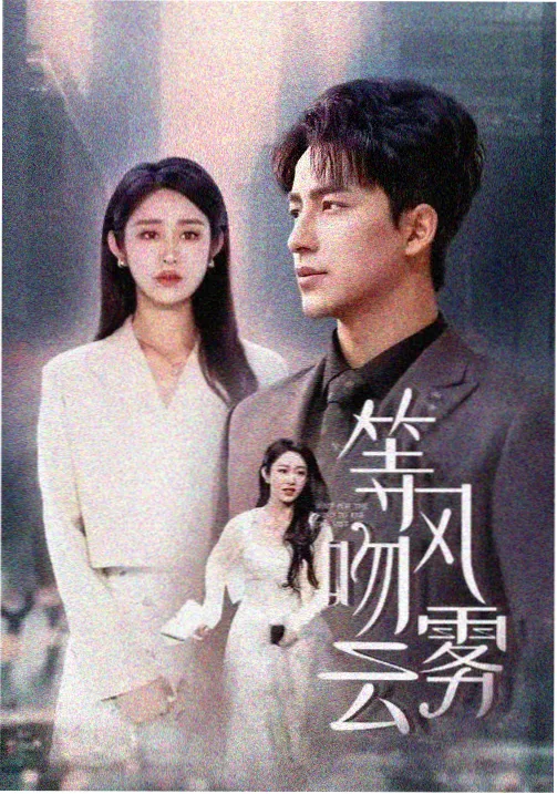 谁是凶手电视剧完整版免费观看 剧情海报